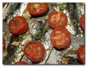 Grilled Sardines