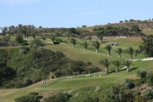 Golf resort Parque de Floresta