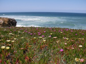 March in the Algarve