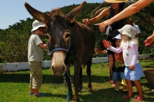 kids in the Algarve