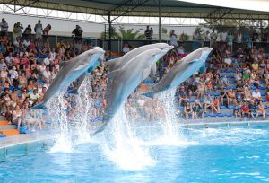 Zoo Marine Albufeira