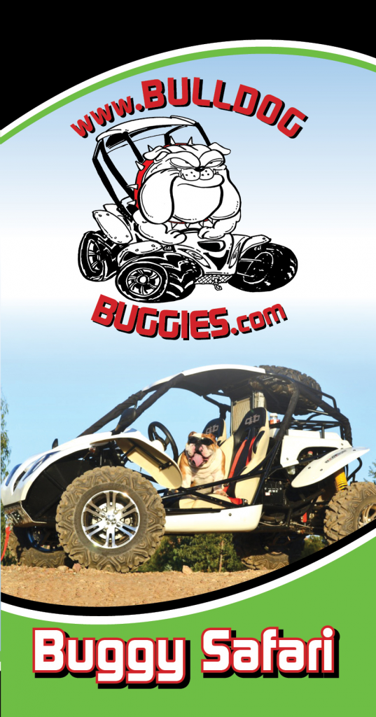 Buggie tours Silves